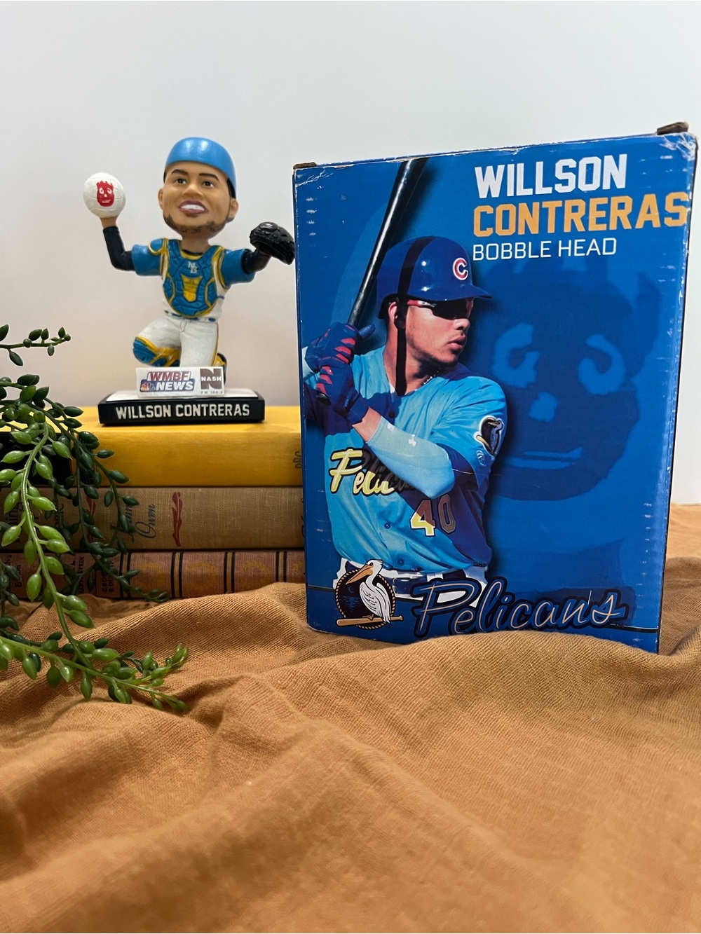 Wilson Contreras  Baseball Bobble Head MB Pelicans with Display Box